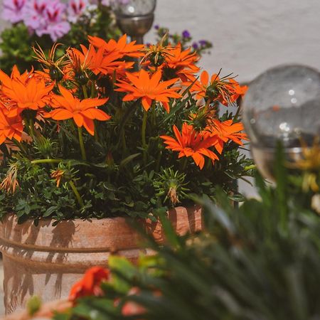 Apartments Haus Hagen Šibenik Dış mekan fotoğraf
