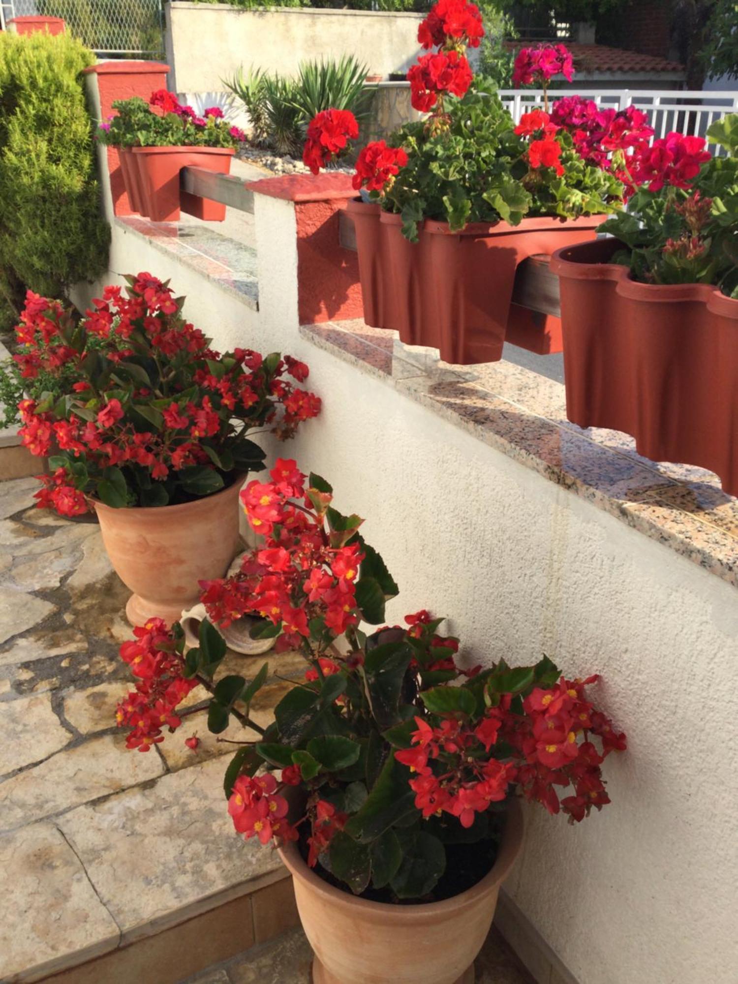 Apartments Haus Hagen Šibenik Dış mekan fotoğraf